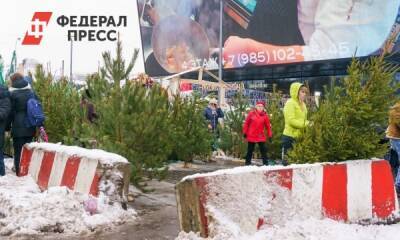Власти Челябинска определили места для продажи елок