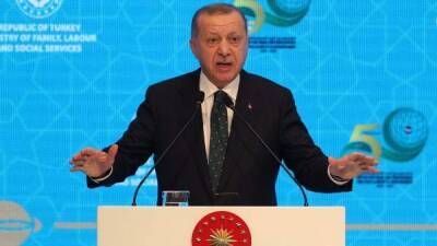 Эрдоган попросил турок запастись терпением и довериться его экономической политике