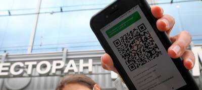 Бизнес-омбудсмен в Карелии предложила смягчить требования по QR-кодам для общепита