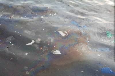 В Геленджике проверяют происхождение нефтяного пятна в море