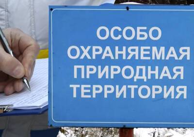 Москвичи собирают подписи против «урбанистического благоустройства» заповедных зон