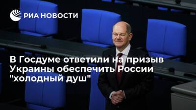 Депутат Водолацкий: канцлер ФРГ Шольц не будет слушать посла Украины Мельника о Путине