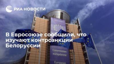 Представитель Евросоюза Стано назвал ответные санкции Белоруссии непрозрачными