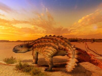 Хвост нового вида анкилозавров нес на себе необычное оружие