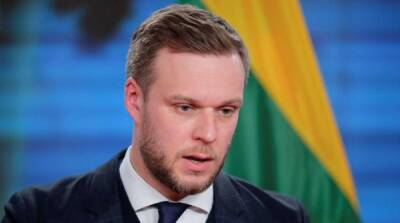 Глава МИД Литвы удивился решению Белоруссии оплатить перевозку удобрений