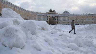 Общественник Сафронов призвал Смольный извиниться перед петербуржцами за провальную уборку снега