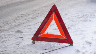 Автомобилист сбил лося на Щелковском шоссе в Подмосковье