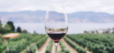 Мировые закупочные цены на вино прибавят до 25%