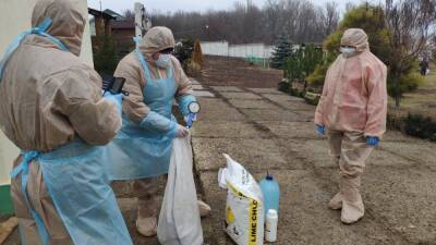 На Луганщине подтвердили вспышку птичьего гриппа