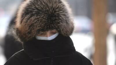 В Гидрометцентре предупредили о наступлении настоящих зимних морозов в Москве