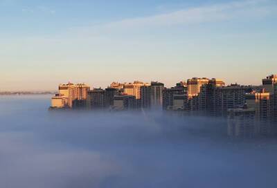 Туманный Альбион: в Петербурге и Ленобласти делятся живописными кадрами тумана