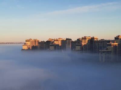 Атмосферные снимки туманного севера Петербурга появились в сети