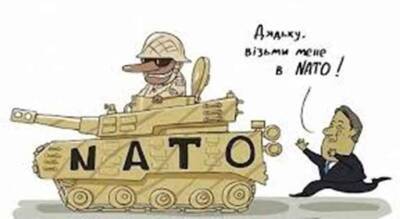 Украине в ближайшие 10 лет вступление в НАТО «не светит» — Госдеп США