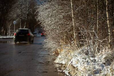 Мокрый снег, гололедица и туман. В пятницу в Смоленскую область придет резкое потепление