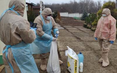 В Луганской области вспышка птичьего гриппа