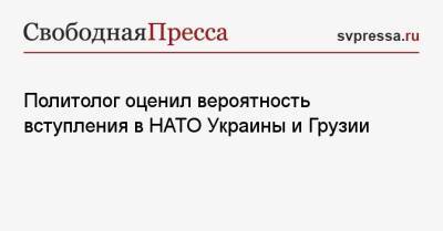 Политолог оценил вероятность вступления в НАТО Украины и Грузии