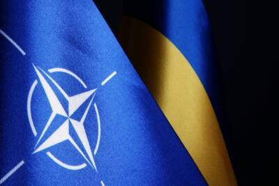 Украина не вступит в НАТО в течение 10 лет - Госдепартамент США