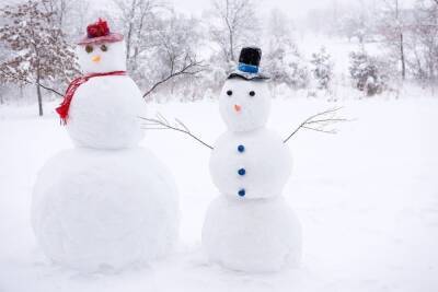 Парад снеговиков пройдет в Серпухове