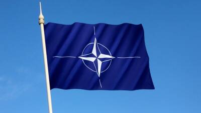 Песков рассказал о теме НАТО в переговорах Путина и Байдена