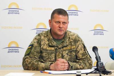 Переговоры поставлены на паузу — в Киеве задумались о заявлении Залужного