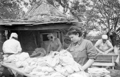 Банно-прачечный отряд: как женщины спасли Красную армию от вшей - Русская семерка