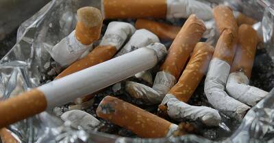 В Новой Зеландии введут запрет на продажу сигарет рожденным после 2008 года