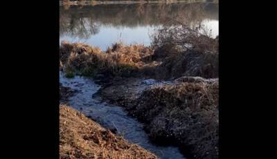 Слив канализации в Дон у воронежского коттеджного посёлка возмутил житилей