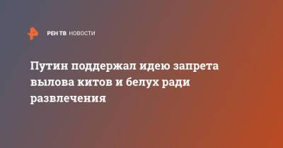 Путин поддержал идею запрета вылова китов и белух ради развлечения