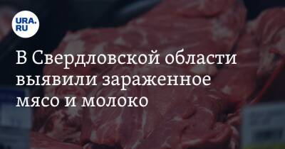В Свердловской области выявили зараженное мясо и молоко