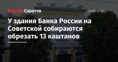 У здания Банка России на Советской собираются обрезать 13 каштанов