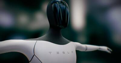 "Цивилизация может рухнуть": Илон Маск хочет спасти человечество с помощью Tesla Bot