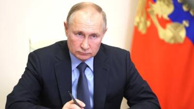 Путин одобрил идею запрета вылова китообразных в России в культурно-развлекательных целях