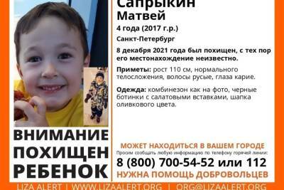 Похищенного 4-летнего мальчика ищут в Псковской области