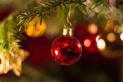 Псковичи смогут купить елку к Новому году в 25 объектах торговли