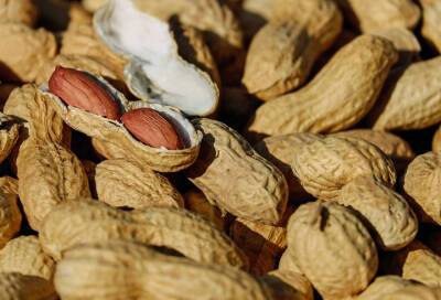 Сто тонн арахиса запретили к ввозу в Санкт-Петербург