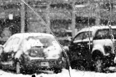 10 декабря в Белгородской области ожидается мокрый снег с дождем