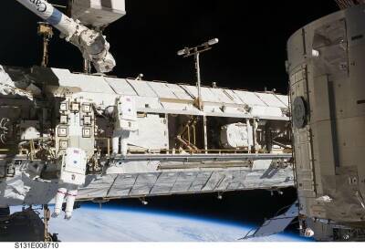 Космонавт из Новосибирска Анна Кикина первой из россиян отправится в космос на корабле Илона Маска
