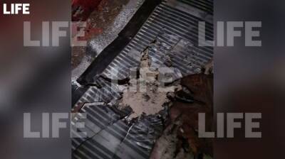 Устал от семейных ссор: житель Ставрополья взорвал гранату в своем доме