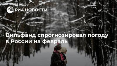 Вильфанд спрогнозировал погоду в России на февраль
