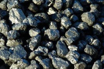 Минприроды РФ подтвердило отказ от добычи угля в Красном Чикое