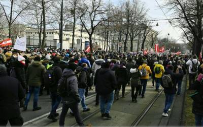В Австрии прошли антикарантинные протесты, есть задержанные