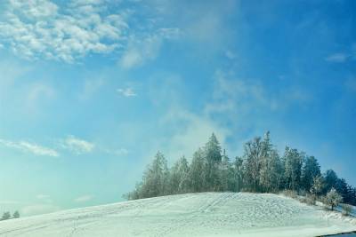В Ульяновской области ожидается снег, ветер и гололедица