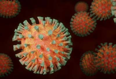 Назван самый распространенный штамм коронавируса в России