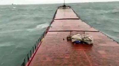 Момент крушения сухогруза Arvin у берегов Турции попал на видео