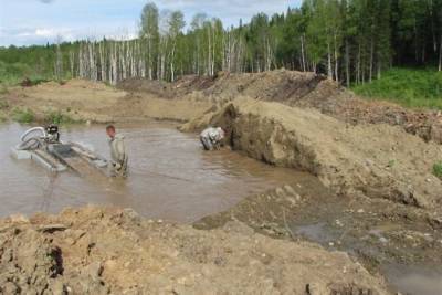 WWF предложил запретить добычу золота на нетронутых реках