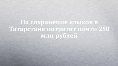 На сохранение языков в Татарстане потратят почти 250 млн рублей