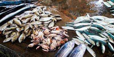 Эксперты ВОЗ посетили тот самый рынок морепродуктов в Ухане