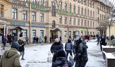 Петербургская полиция назвала обоснованными действия силовика, доставшего на митинге табельное оружие