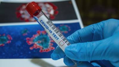 Ученые НИИ гриппа оценили риски заражения новыми штаммами коронавируса