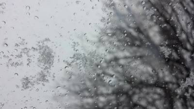 Первая неделя февраля принесёт в Воронежскую область снег, дожди и ветер